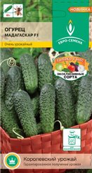 Семена Огурец Мадагаскар F1 цв/п 0,25г