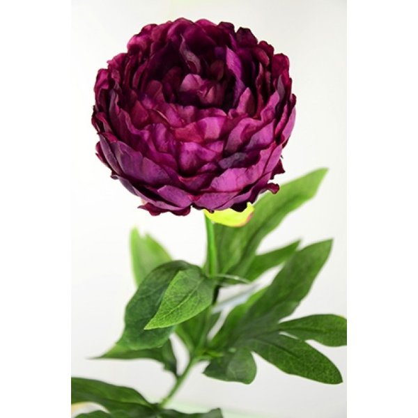 Цветок иск.Пион темно-бордовый,срезка 75 см