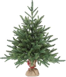 Ель искусственная Инфинити 60см 100% РЕ