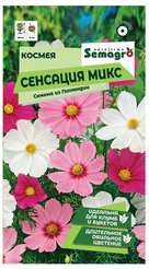 Семена Космея Сенсация микс