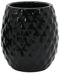 Стакан для зубных щеток ВаннДерБлэк, фарфор