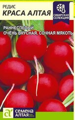 Семена Редис Краса Алтая 2г