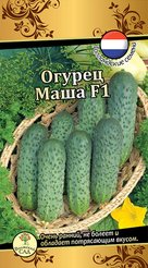 Семена Огурец Маша 10шт
