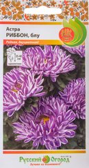 Семена Астра Риббон блу