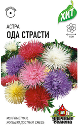 Семена Астра Ода страсти игольчатая смесь 0,2г