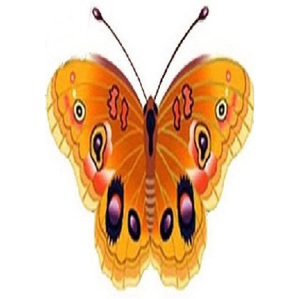 Ковер-бабочка 0,98х1,2м в ассортименте