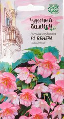 Семена Бегония Венера F1 амп.гранул.4шт