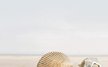 Декор GL Summer Stone Holiday №1 беж. 25х40 (шт)