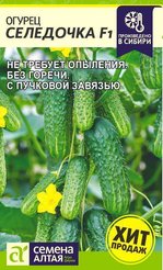 Семена Огурец Селедочка F1 5шт