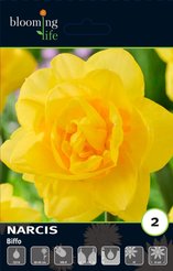 Луковица Нарцисс махровый Биффо 2шт