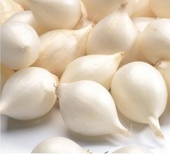 Лук-севок Белый Орёл 0,5кг