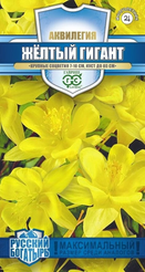 Семена Аквилегия Желтый гигант культурная 0,05г