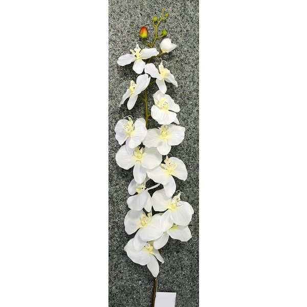 Орхидея Фаленопсис одиночная кремовая 124см