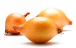 Лук-севок Стурон 0,5кг