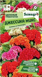 Семена Целозия гребенчатая Джессика микс