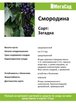 Саженец Смородина черная Загадка ком 3л
