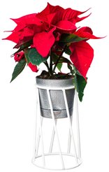 Подставка для цветов на 1 горшок 12х12см h19см, металл, черный, 66-604W