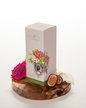 Диффузор ароматический Stella Fragrance  Tropic Blossom 100мл