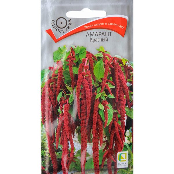 Семена Амарант Красный