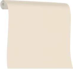 Обои Артекс Paint Wall 10968-04 1,06х10м фон