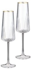 Набор бокалов д/шампанского Lefard Perfo 250мл 2шт стекло
