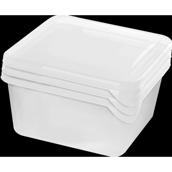 Набор контейнеров д/заморозки продуктов Plast Team/Lucky Friday Frozen 750мл 3шт полипропилен