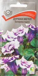 Семена Дурман метел Балерина парпл 3шт