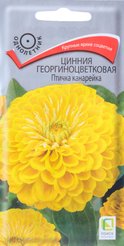 Семена Цинния георгиноцветковая Птичка канарейка