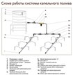 Система капельного полива Жук Парниковый 30