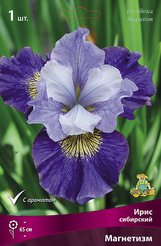 Корневище Ирис сибирский Магнетизм 1шт