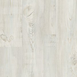 Уәлиханов Орыс географиялық қоғамының мүшесі