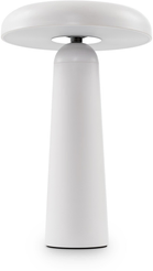 Светильник аккумуляторный Freya FR6109TL-L4W Белый 4Вт.3000-4000К