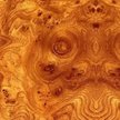 Щит мебельный 3050х600мм Корень вяза