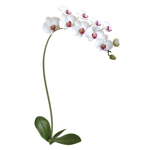 Наклейка декоративная Декоретто Белая Орхидея FG 6001
