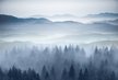 Фотообои виниловые на флизелиновой основе Туман 400х270 см