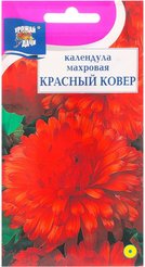 Семена Календула Красный ковер махровая 0,3г