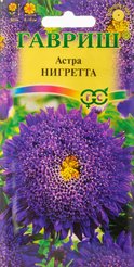 Семена Астра Нигретта принцесса темно-фиоле