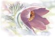 Декор настенный Lila 24,9х36,4см розовый шт(DWU07LIL005)