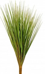 Растение иск.Осока Прово h37см