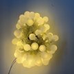 Электрогирлянда внутренняя Шары 1,7см 5м 50LED, теплый белый, прозрачные лампы с газом, контролер