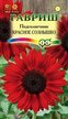 Семена Подсолнечник Красно солнышко