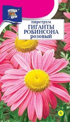 Семена Пиретрум Гиганты Робинсона розовый 0,05г