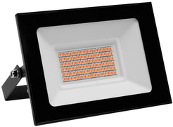 Фитопрожектор светодиодный Camelion LFL-3005 C02 черный 30Вт красно-синий спектр