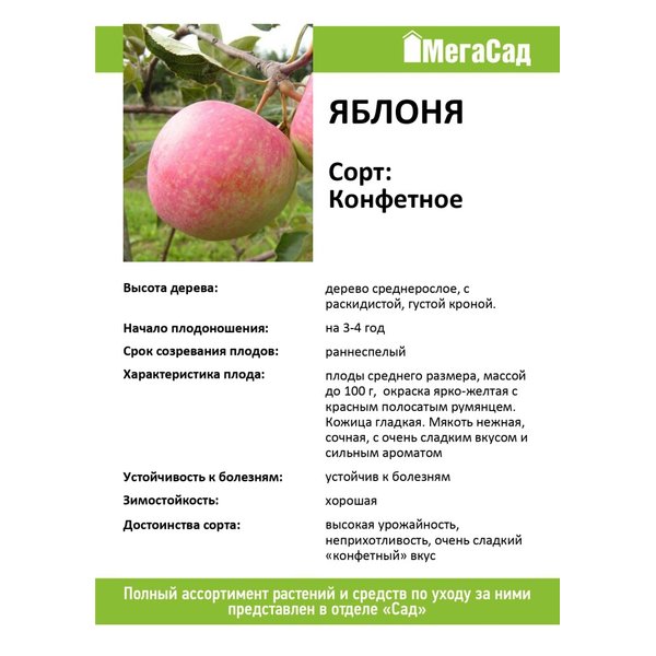 Конфетное описание фото отзывы
