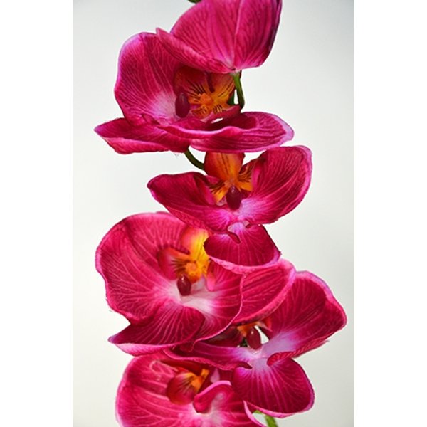 Цветок иск.Орхидея Элегант бьюти, срезка 85см