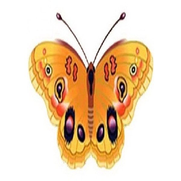 Ковер-бабочка 0,98х1,2м в ассортименте