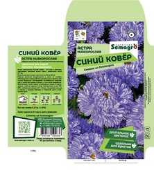 Семена Астра низкорослая Синий ковер