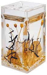 Стакан для зубных щеток Aurum гель