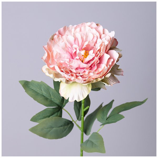 Цветок искусственный Пион кремово-розовый 62см 