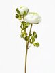Цветок Ranunculus Bowd Floox 15х7,5х50см комбинированные материалы белый